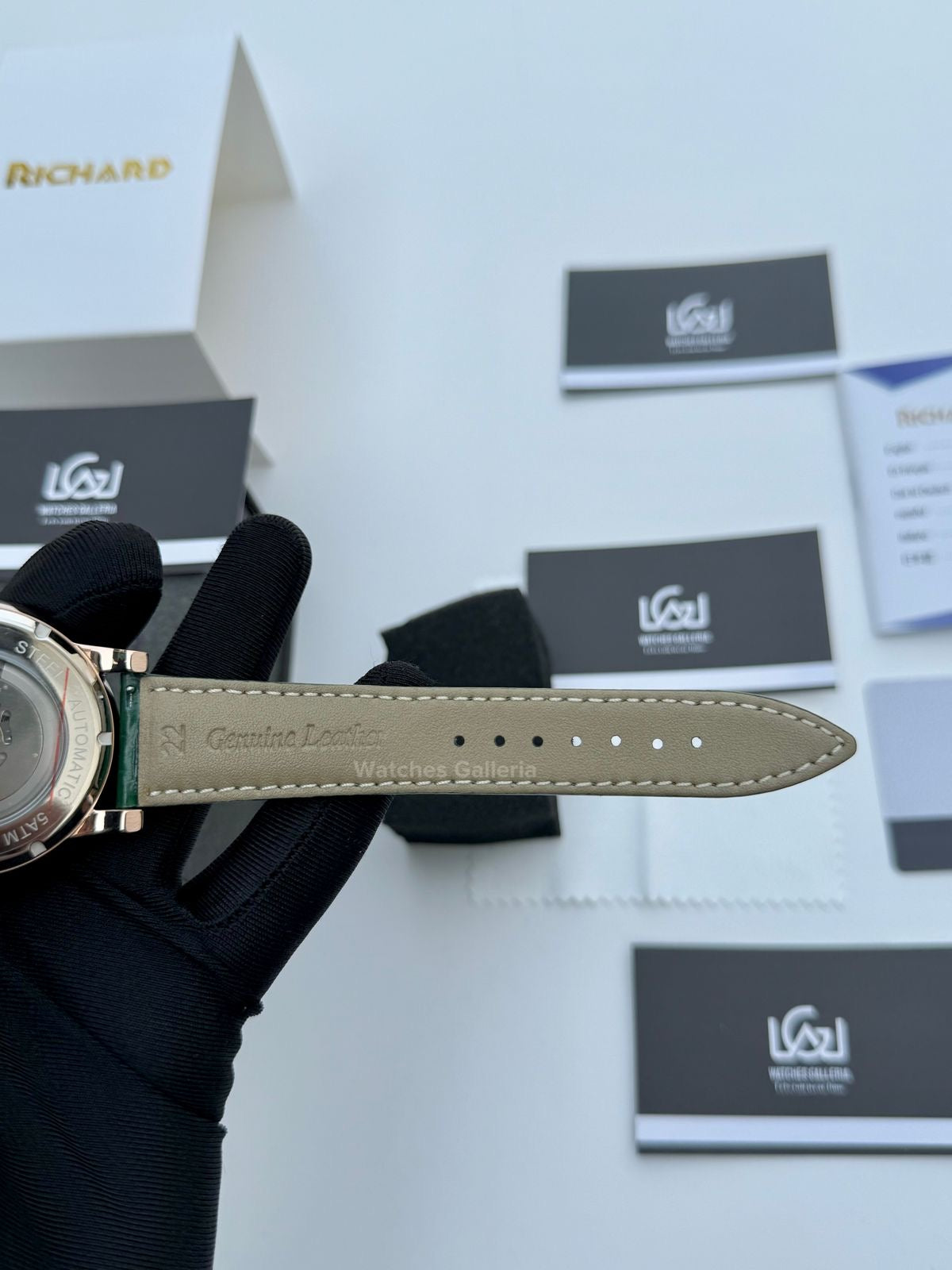 Richard Casino Automatic (Green) RH002 Watches Galleria