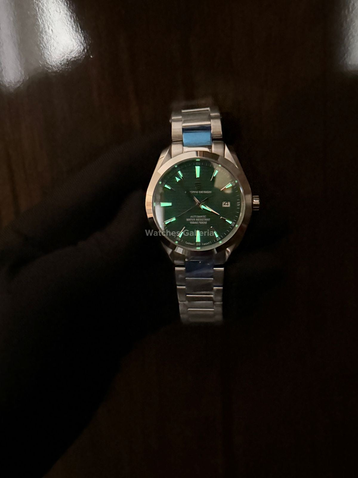 Pagani Design Aqua Terra (Green) PD1688 Watches Galleria