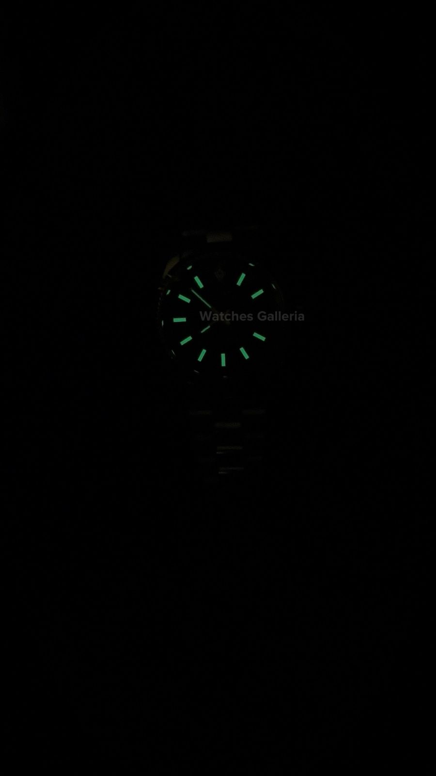 Cadisen Datejust Palm Dial Automatic C8198 Watches Galleria