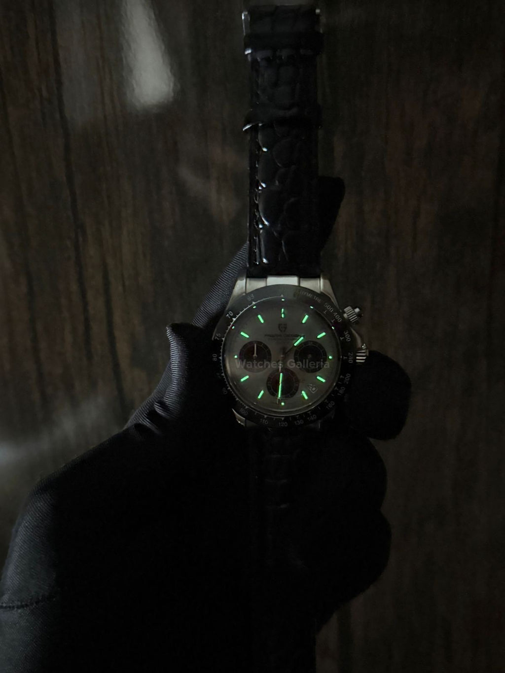 Pagani Design Daytona Quartz PD1664 Crocodile Leather Strap (Silver) Pagani Design in Pakistan