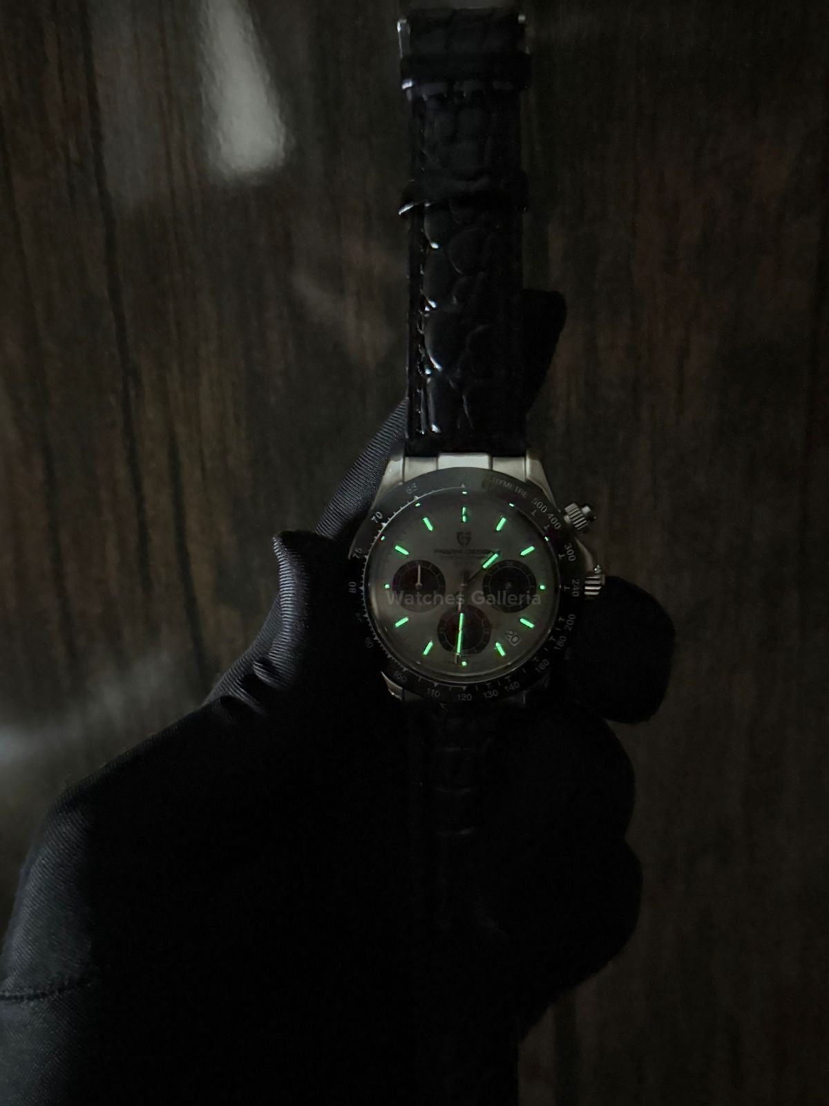 Pagani Design Daytona Quartz PD1664 Crocodile Leather Strap (Silver) Pagani Design in Pakistan