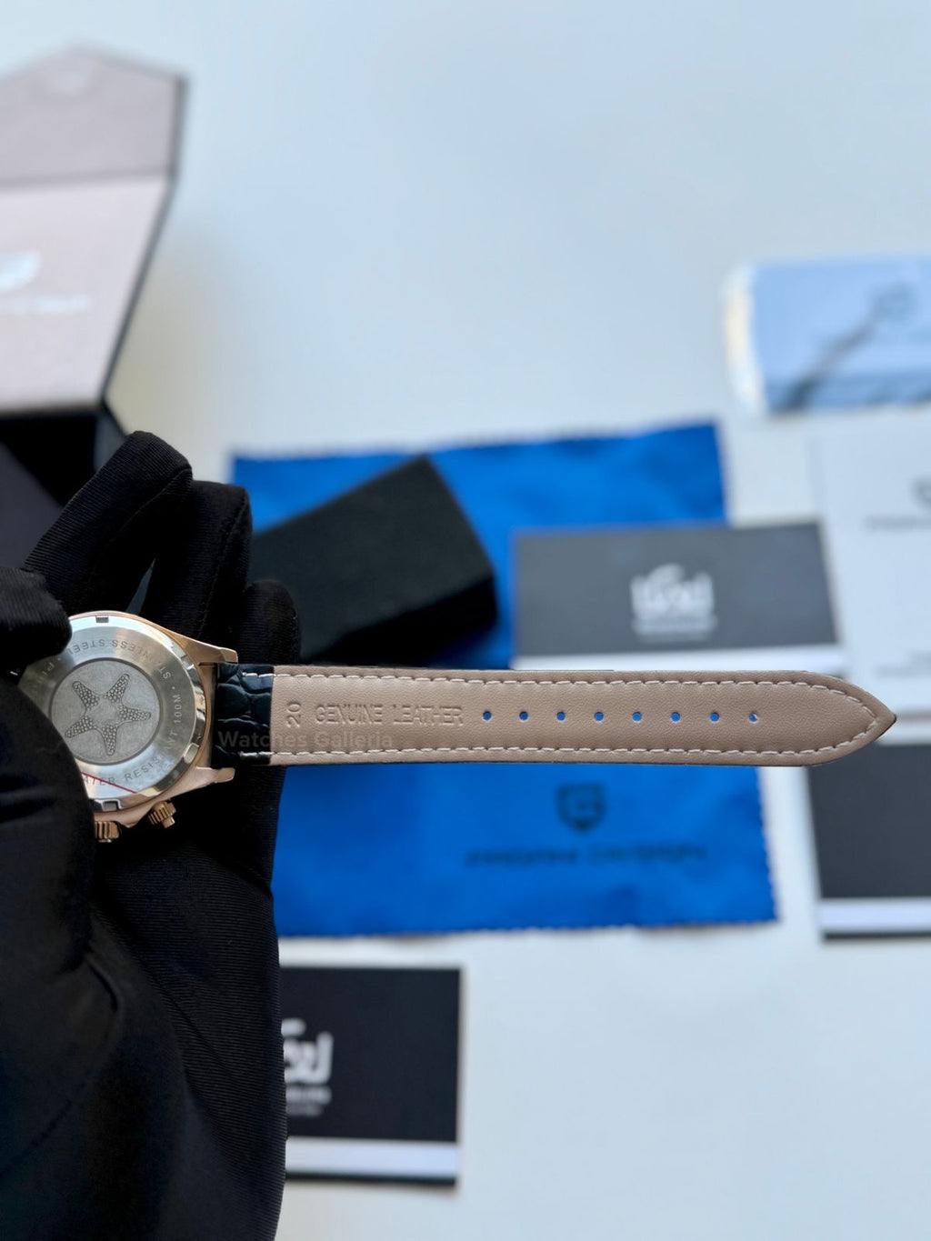 Pagani Design Daytona Quartz PD1664 Crocodile Leather Strap (Rose Gold Metorite) Pagani Design in Pakistan