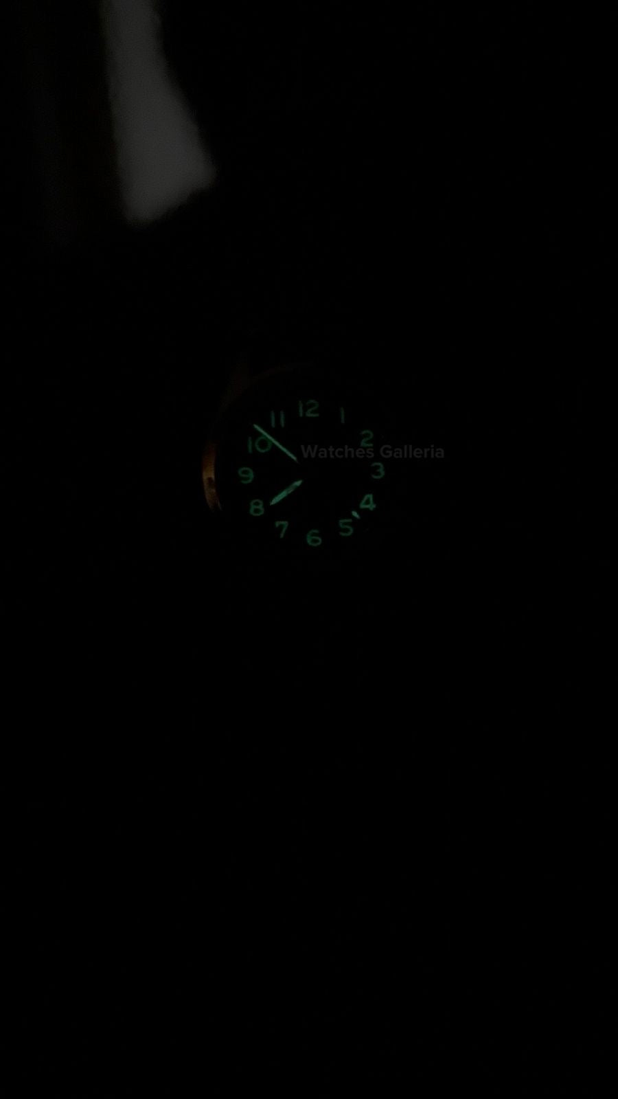 Pagani Design PD1717 Spirit Pilot Automatic (Green Suede Leather Exclusive) Pagani Design in Pakistan