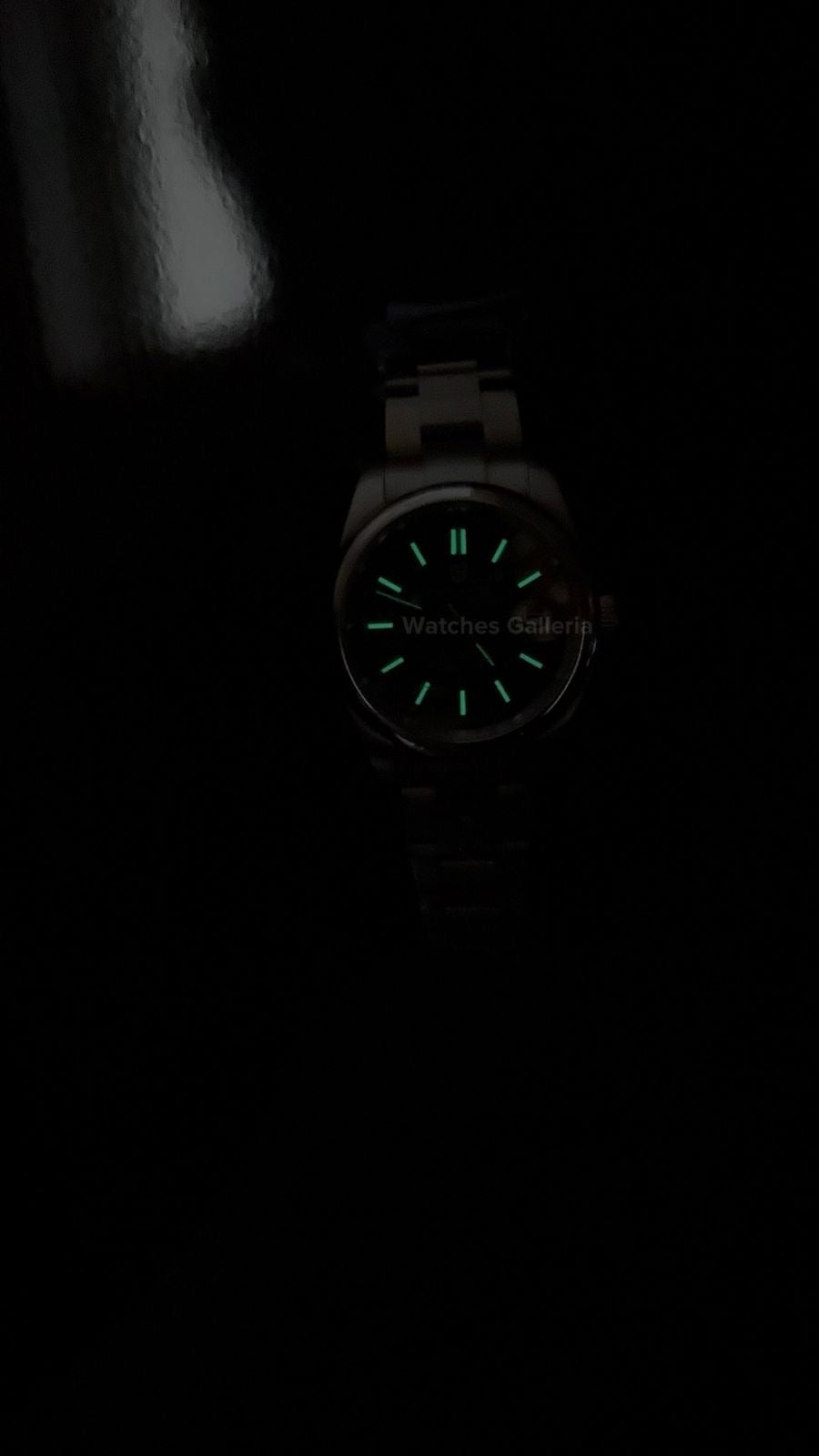 Pagani Design Oyster Perpetual Automatic PD1715 Palm Dial (Green) Pagani Design in Pakistan