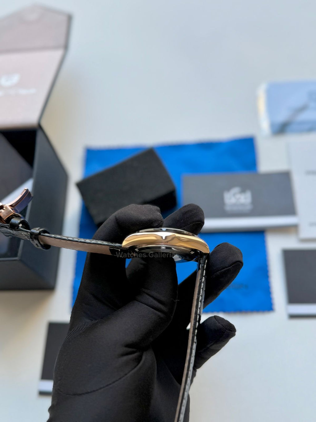 Pagani Design Daytona Quartz PD1664 Crocodile Leather Strap (Rose Gold Metorite) Pagani Design in Pakistan