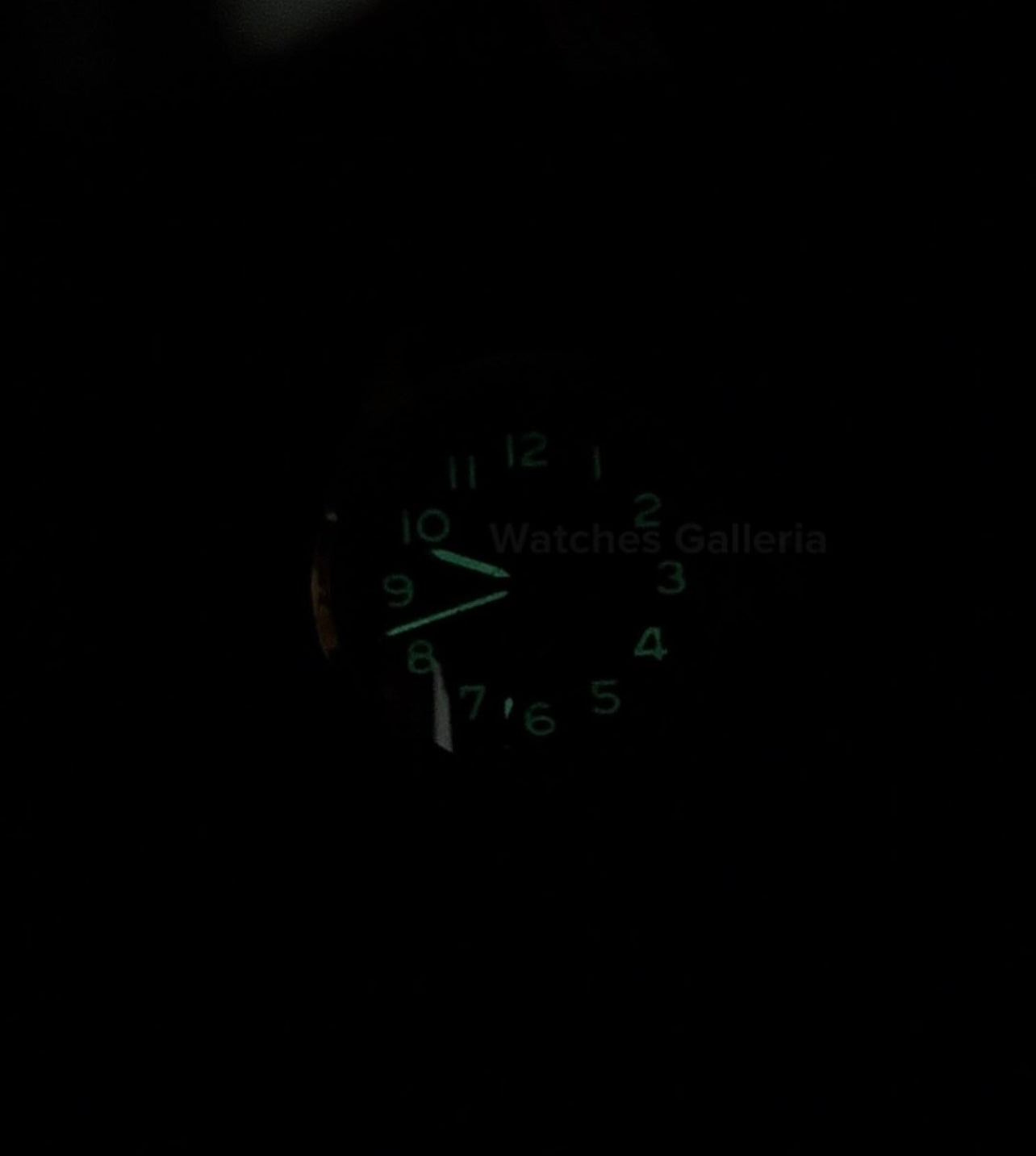 Pagani Design PD1717 Spirit Pilot Automatic (Green Leather Exclusive) Pagani Design in Pakistan