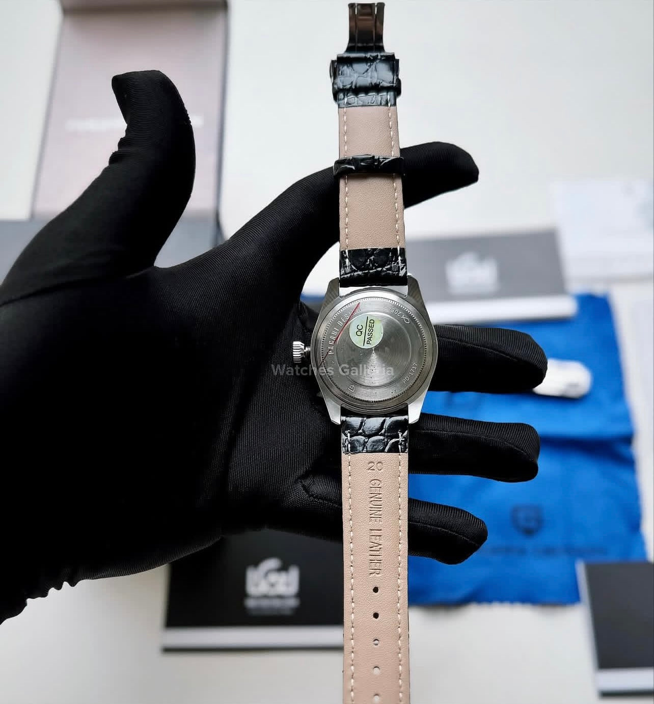 Pagani Design PD1717 Spirit Pilot (Blue/Black Leather Exclusive) Pagani Design in Pakistan