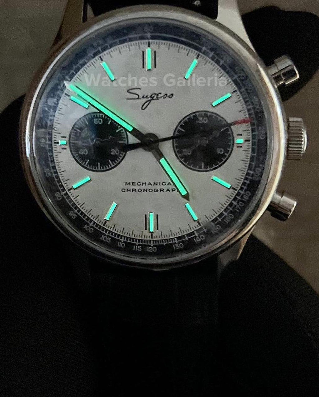 Sugess Panda Chronograph Manual Wind (White) ST1901