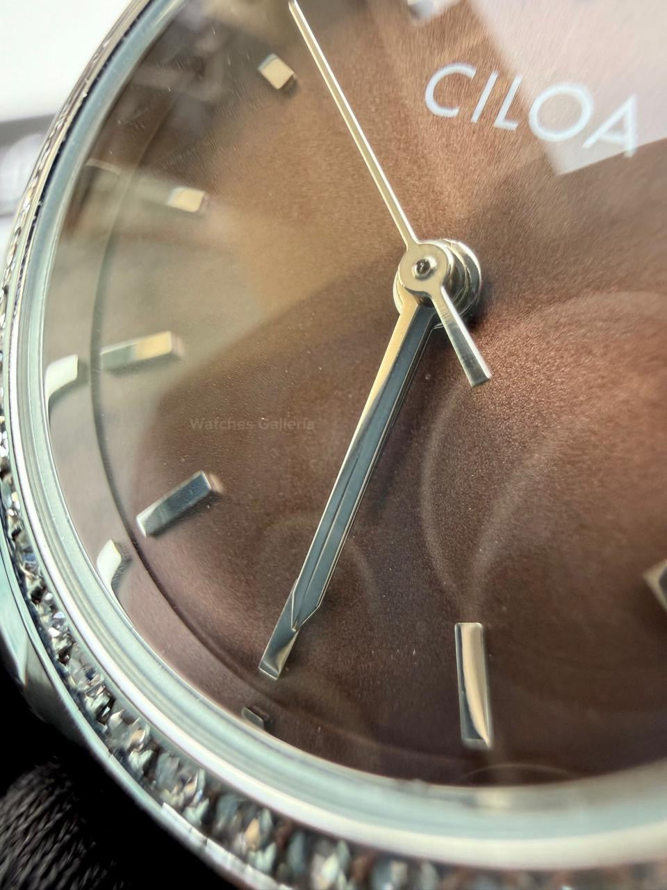 Ciloa 602 Datejust Ladies Watch Quartz (Chocolate) Ciloa Watch Pakistan