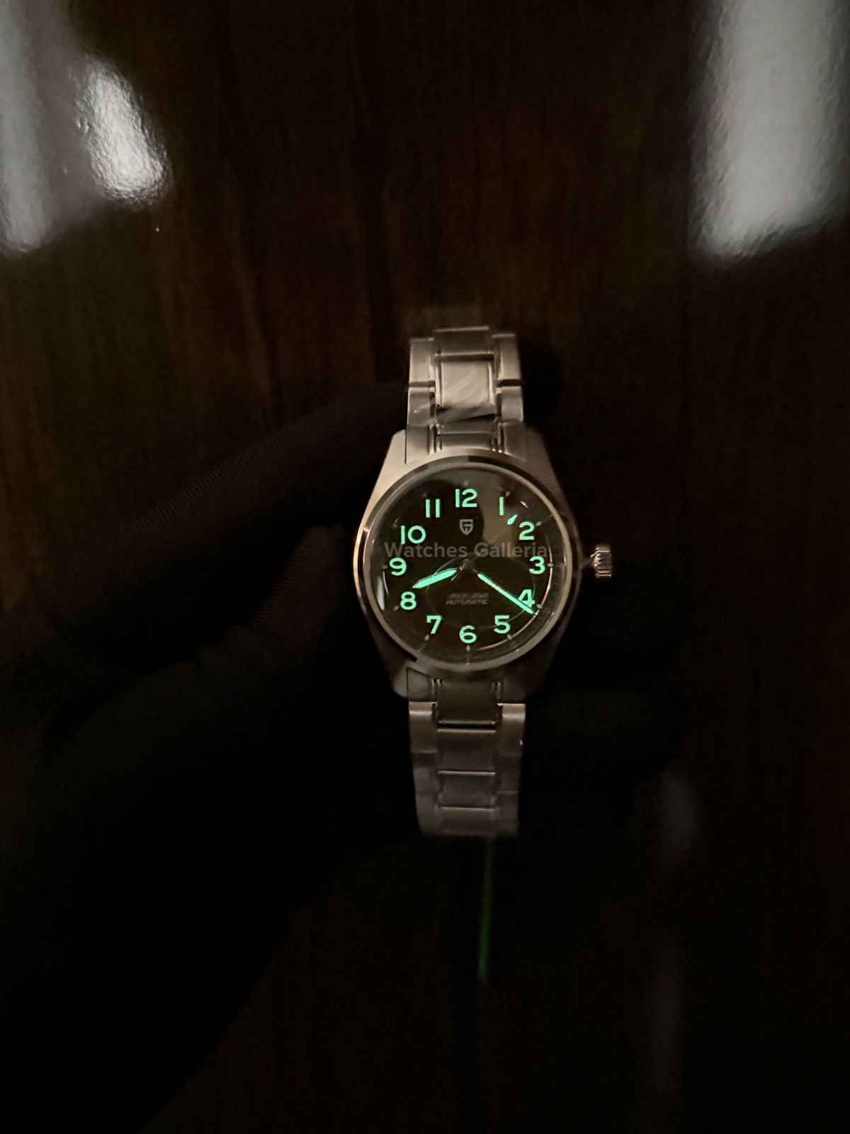 Pagani Design Spirit Pilot Automatic (Green) PD1717 Watches Galleria